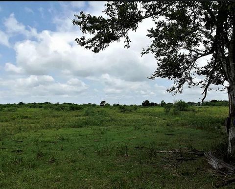00 Orange Hill Road Sealy TX 77474