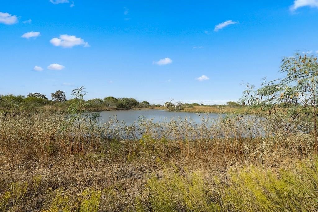 Tract 1 Lobo Lane, Columbus, Texas image 8