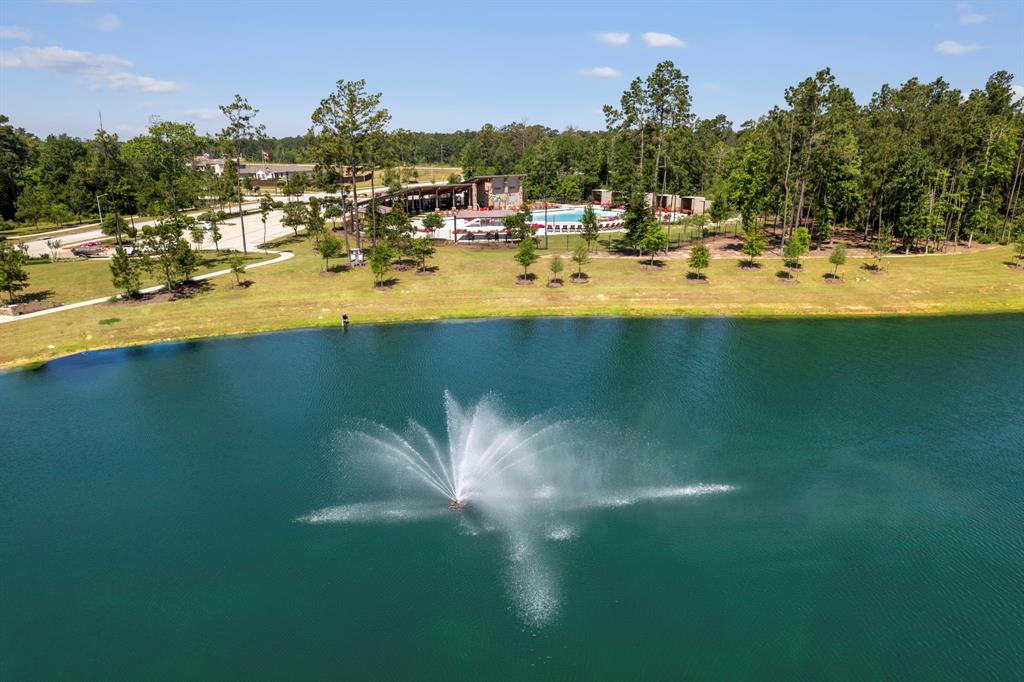 16147 Sapphire Crest Drive, Conroe, Texas image 45