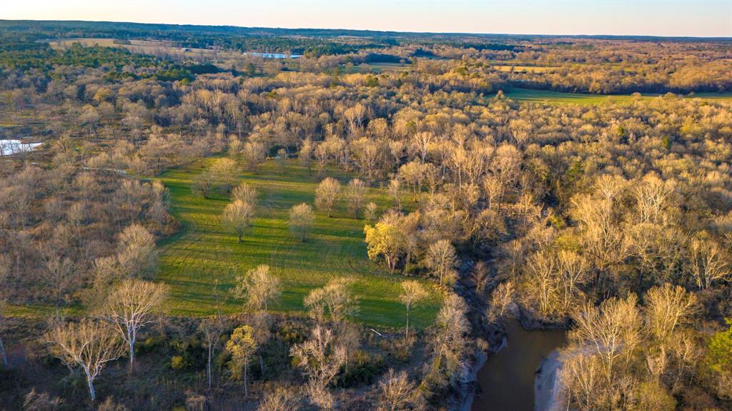 TBD 06 Johnson Drive, Livingston, Texas image 2