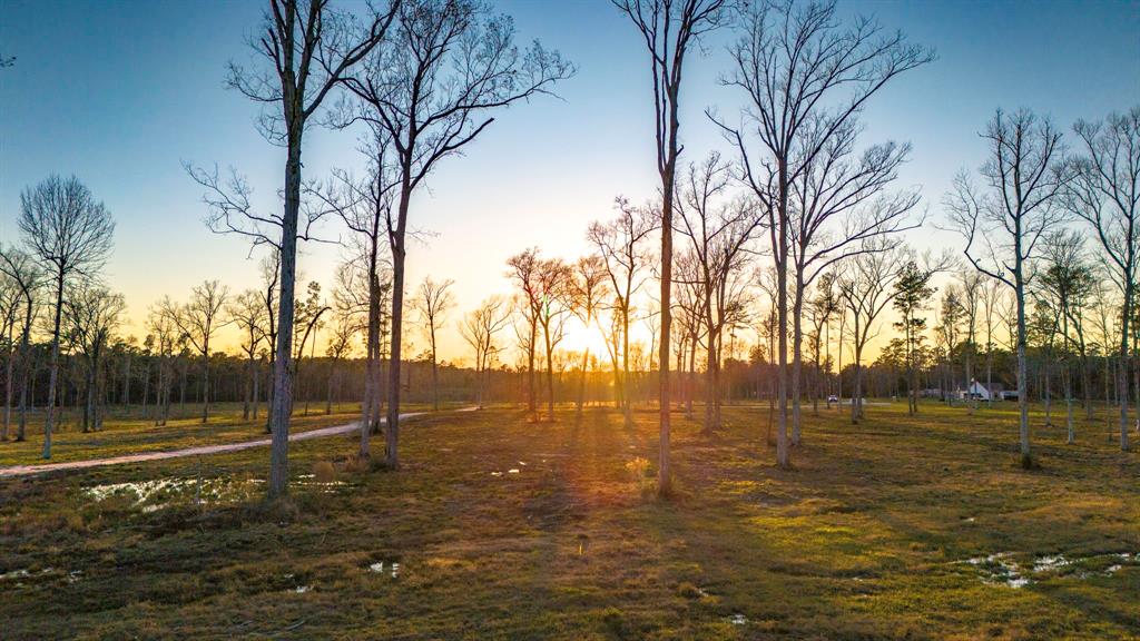 TBD 06 Johnson Drive, Livingston, Texas image 8