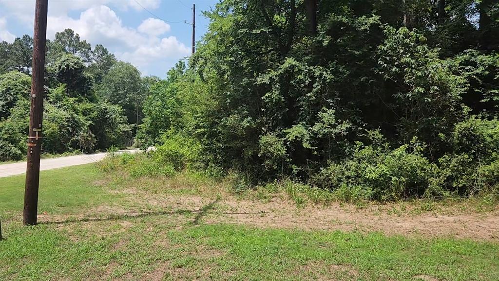 Lot 20 Mossyknoll Drive, Plantersville, Texas image 26