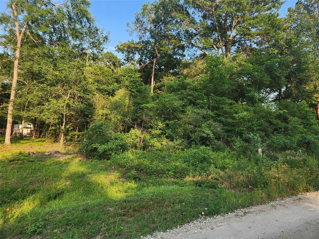 Lot 20 Mossyknoll Drive