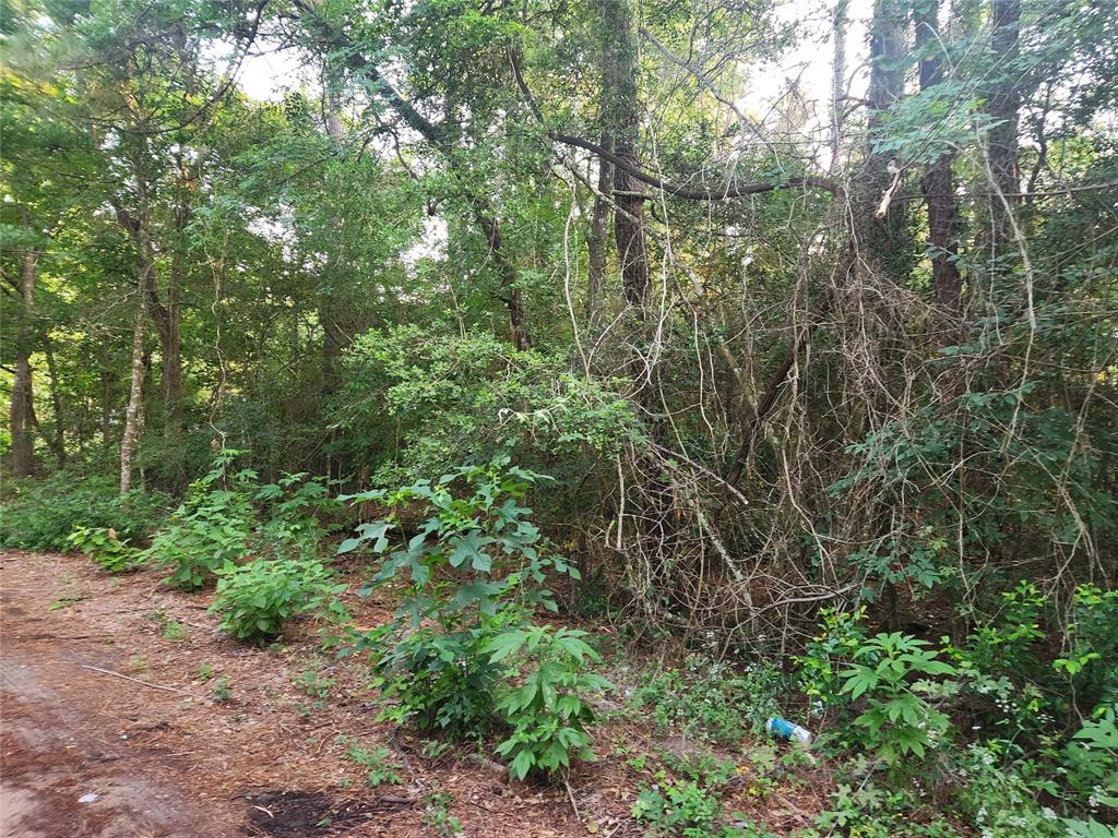 Lot 20 Mossyknoll Drive, Plantersville, Texas image 10