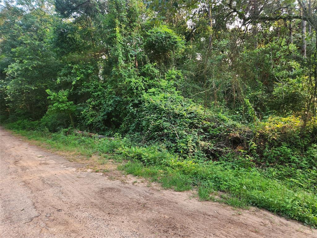 Lot 20 Mossyknoll Drive, Plantersville, Texas image 12