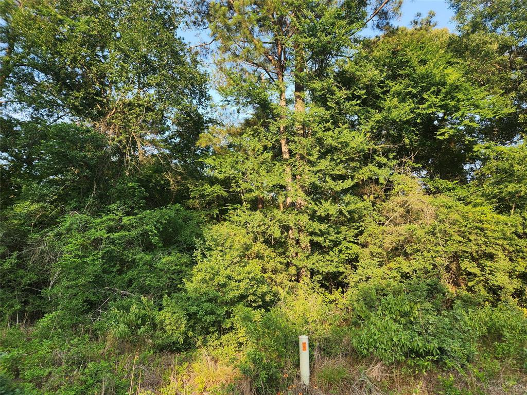 Lot 20 Mossyknoll Drive