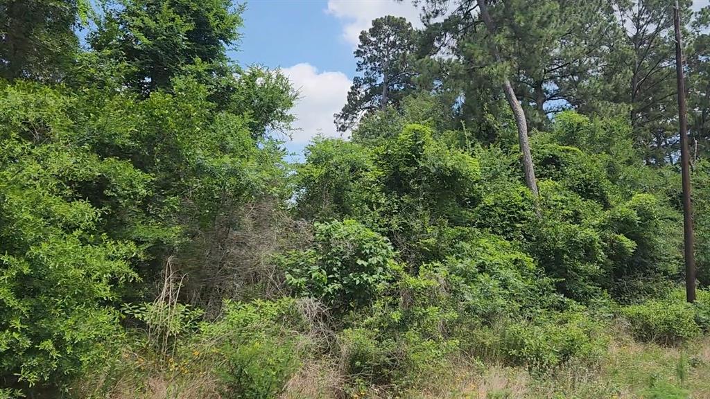 Lot 20 Mossyknoll Drive, Plantersville, Texas image 28