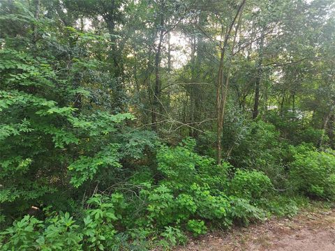 Lot 20 Mossyknoll Drive Plantersville TX 77363