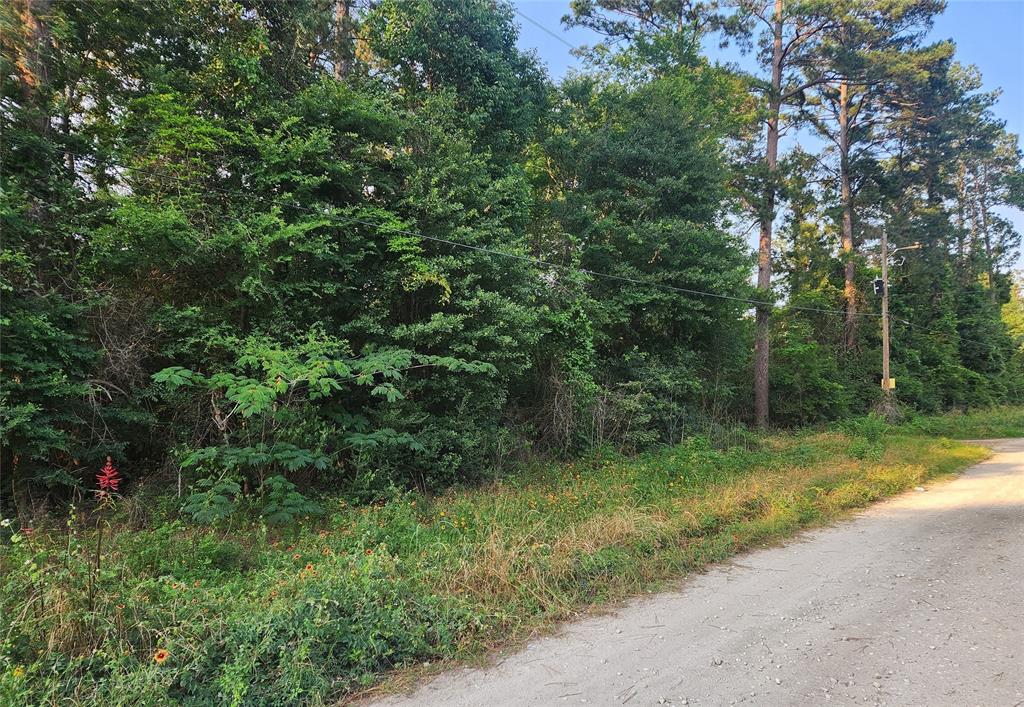 Lot 20 Mossyknoll Drive, Plantersville, Texas image 8