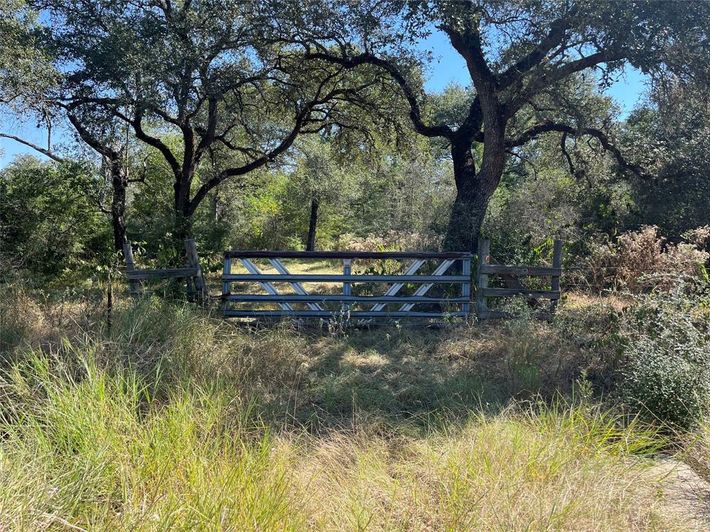 1058 Deer Alley Lane, Columbus, Texas image 1