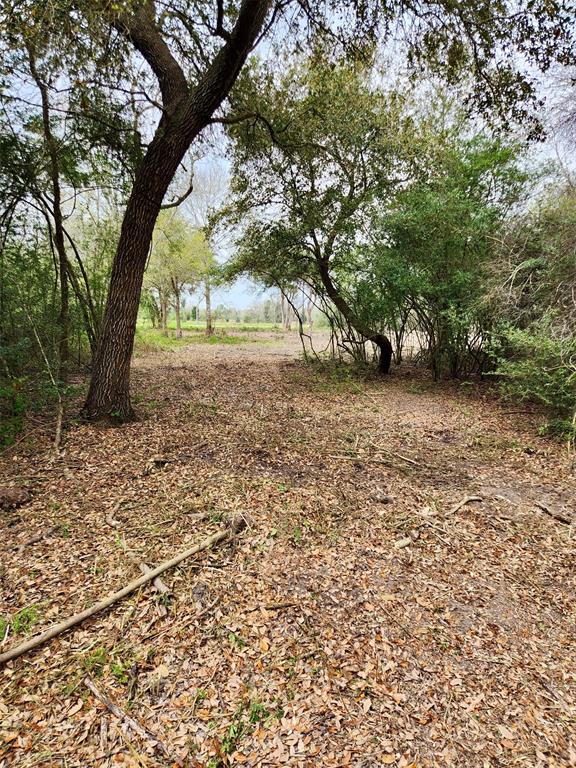 00 County Road 154, Alvin, Texas image 14