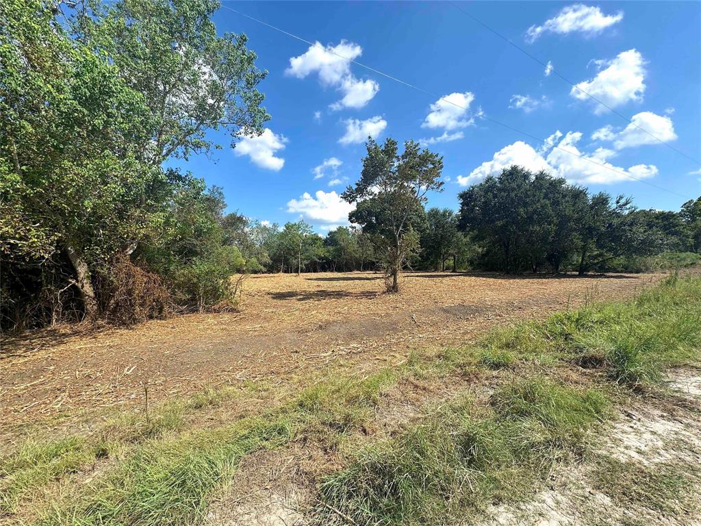 TBD County Road 154 - 4 Acres Approx, Alvin, Texas image 6