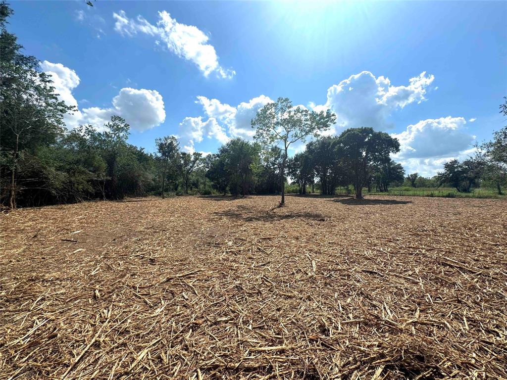 TBD County Road 154 - 4 Acres Approx, Alvin, Texas image 7