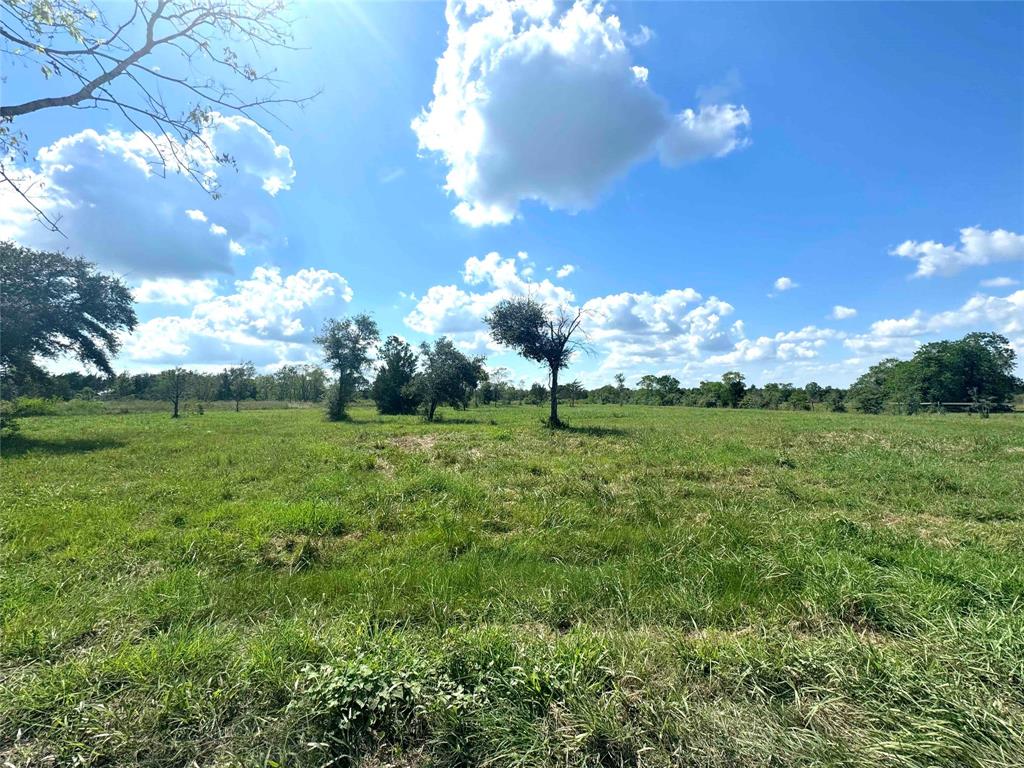 TBD County Road 154 - 4 Acres Approx, Alvin, Texas image 5