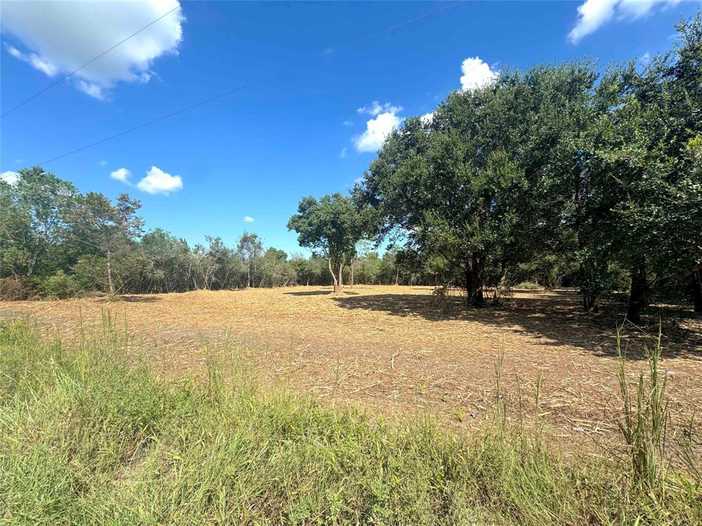 TBD County Road 154 - 4 Acres Approx, Alvin, Texas image 2