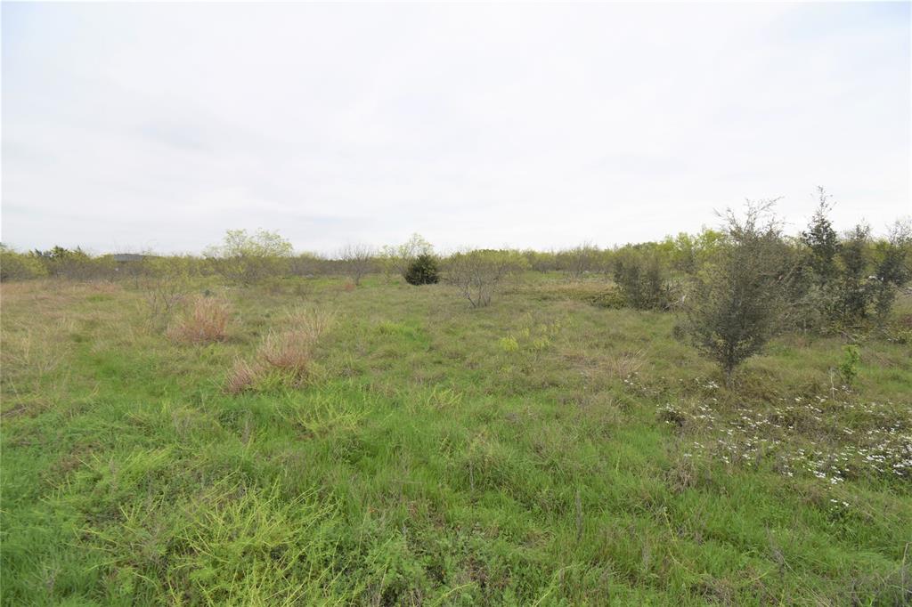 5205 N Highway 36, Cameron, Texas image 15