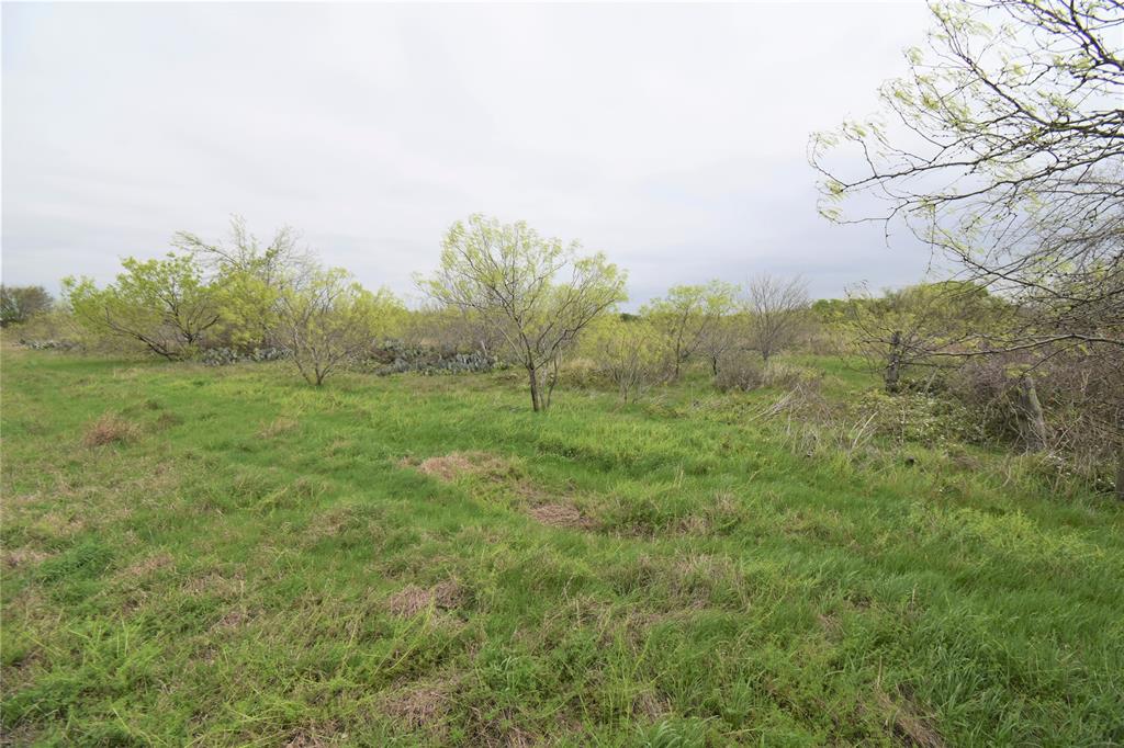 5205 N Highway 36, Cameron, Texas image 17