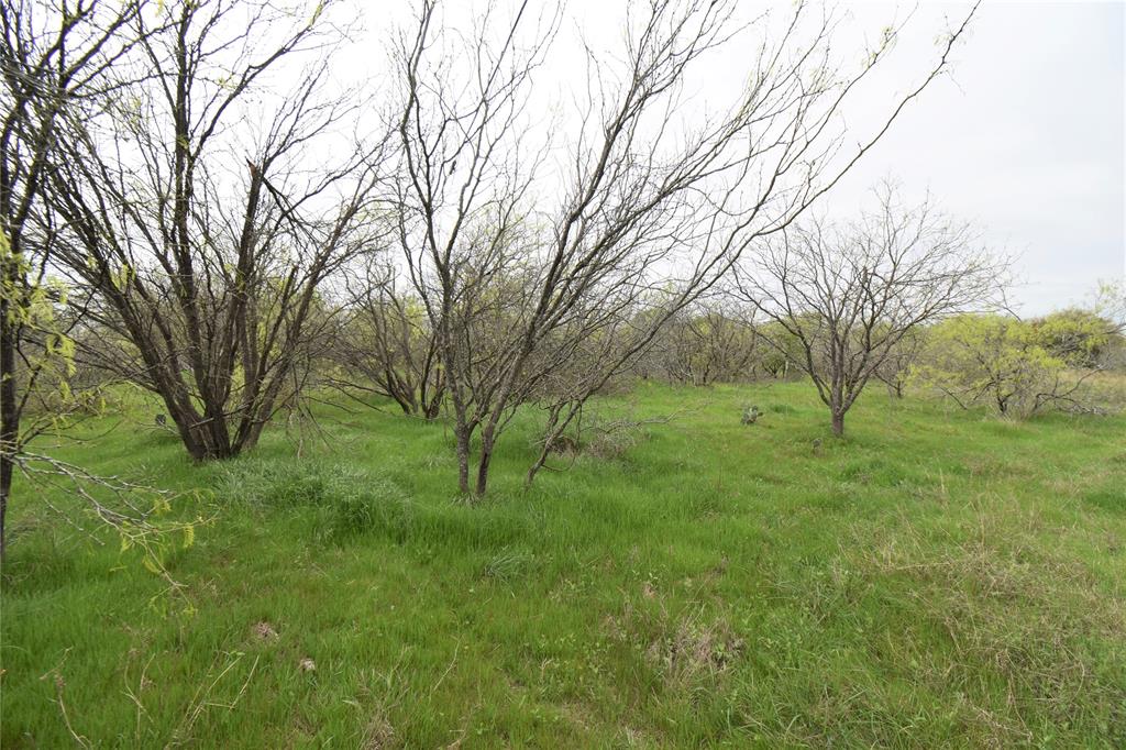 5205 N Highway 36, Cameron, Texas image 20