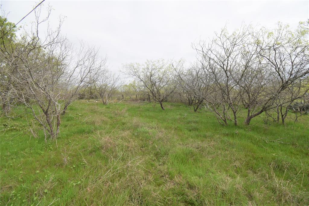 5205 N Highway 36, Cameron, Texas image 19