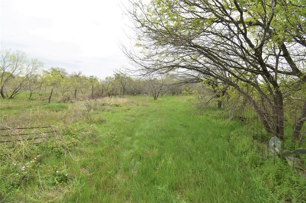 5205 N Highway 36, Cameron, Texas image 18