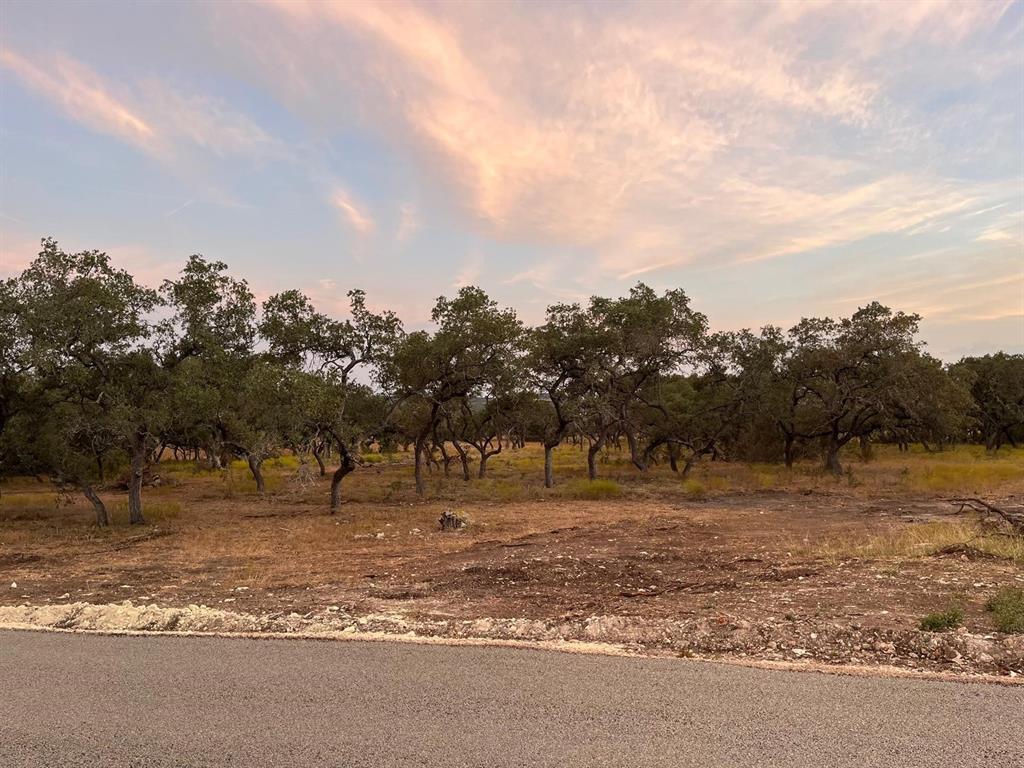 TBD Lot 7 County Road 340, Burnet, Texas image 5