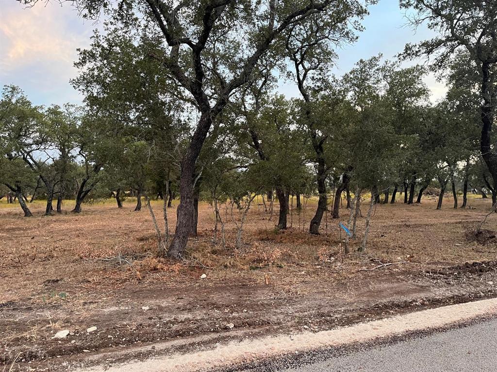 TBD Lot 7 County Road 340, Burnet, Texas image 12