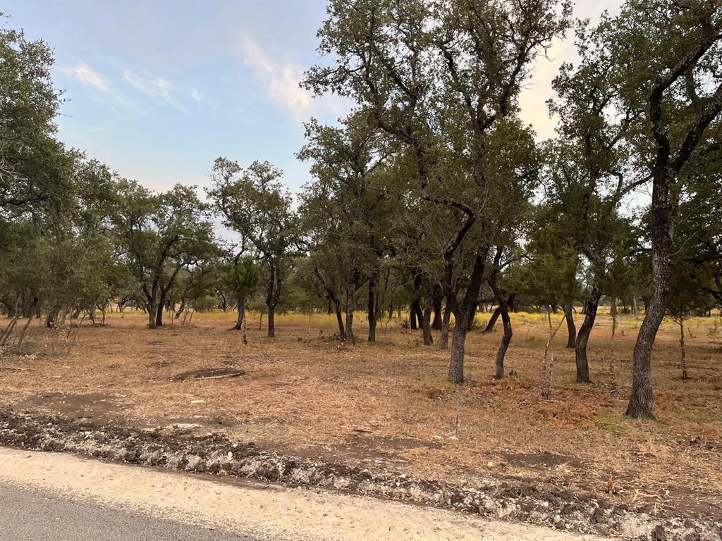 TBD Lot 7 County Road 340, Burnet, Texas image 11