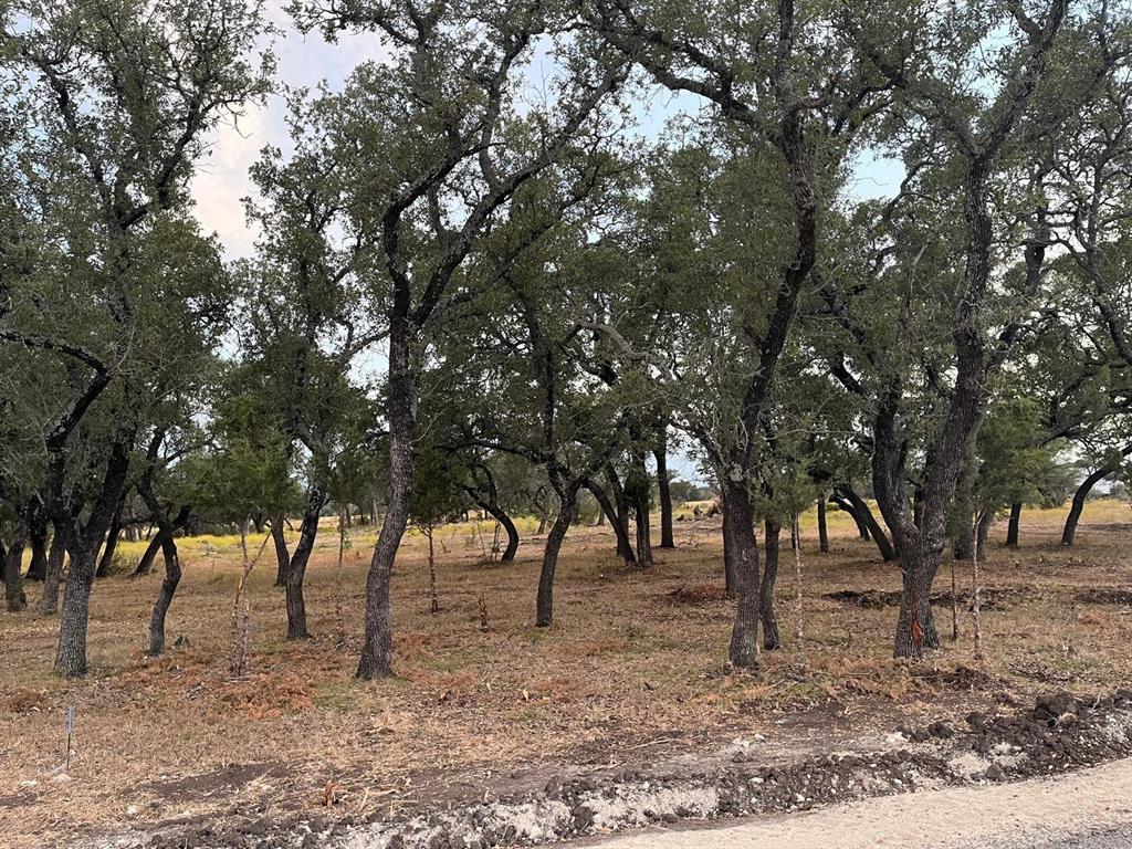 TBD Lot 7 County Road 340, Burnet, Texas image 13