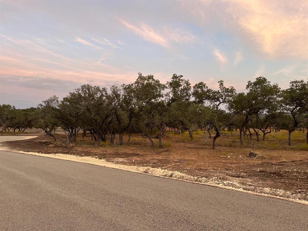 TBD Lot 7 County Road 340, Burnet, Texas image 6