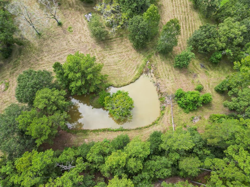 22280 Fm 149 Road, Montgomery, Texas image 3