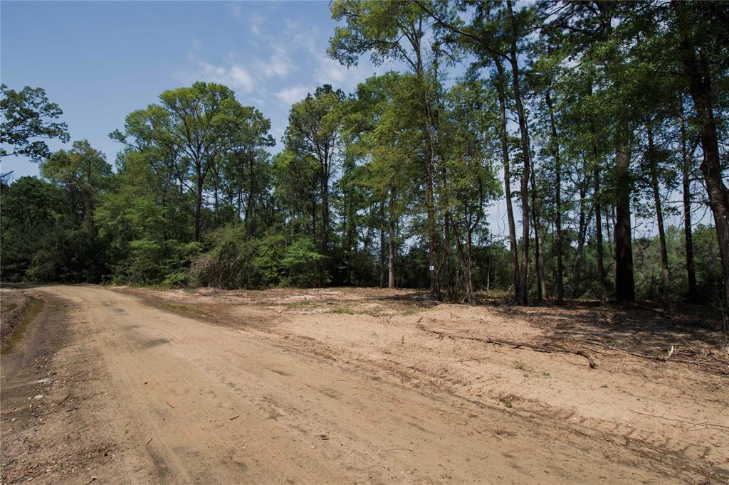 000 County Rd 2082, Burkeville, Texas image 6