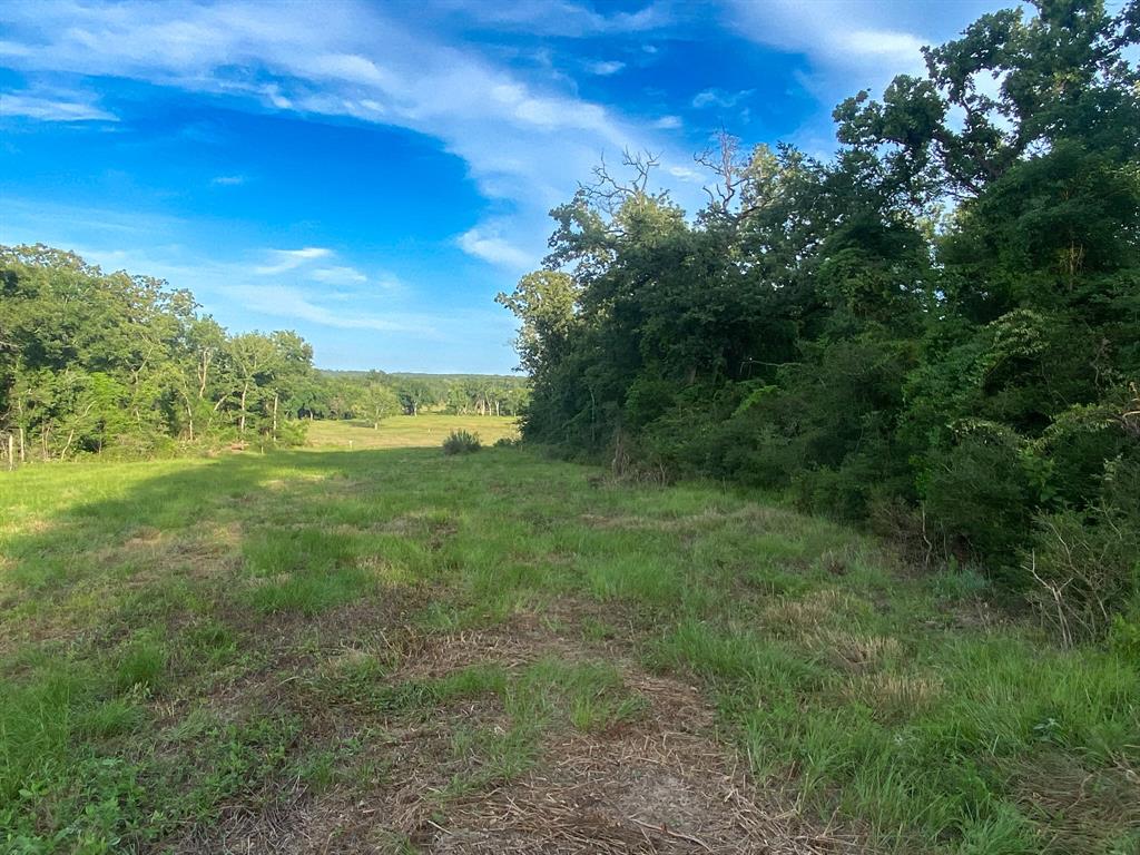 TR7 County Road 426