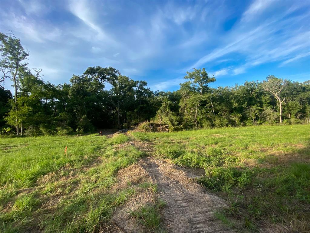 TR7 County Road 426