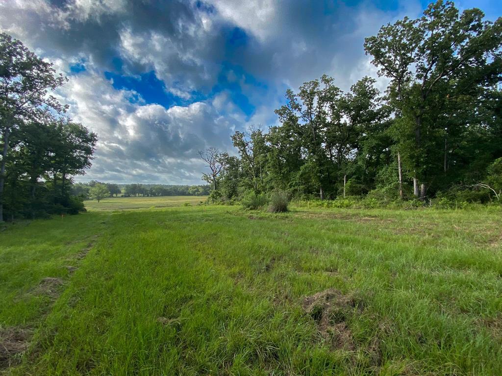 TR7 County Road 426