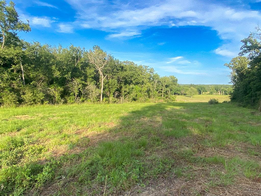 TR7 County Road 426