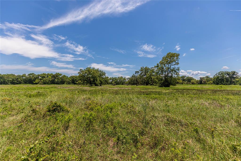 LOT 8 Mill Creek Ranch Road, New Ulm, Texas image 8