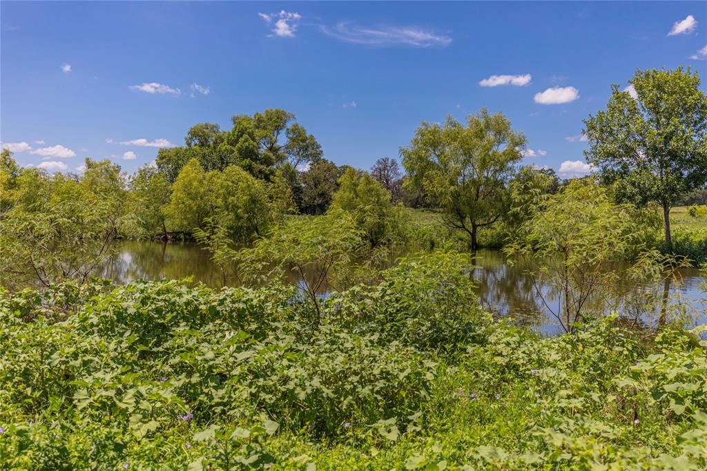 LOT 8 Mill Creek Ranch Road, New Ulm, Texas image 12