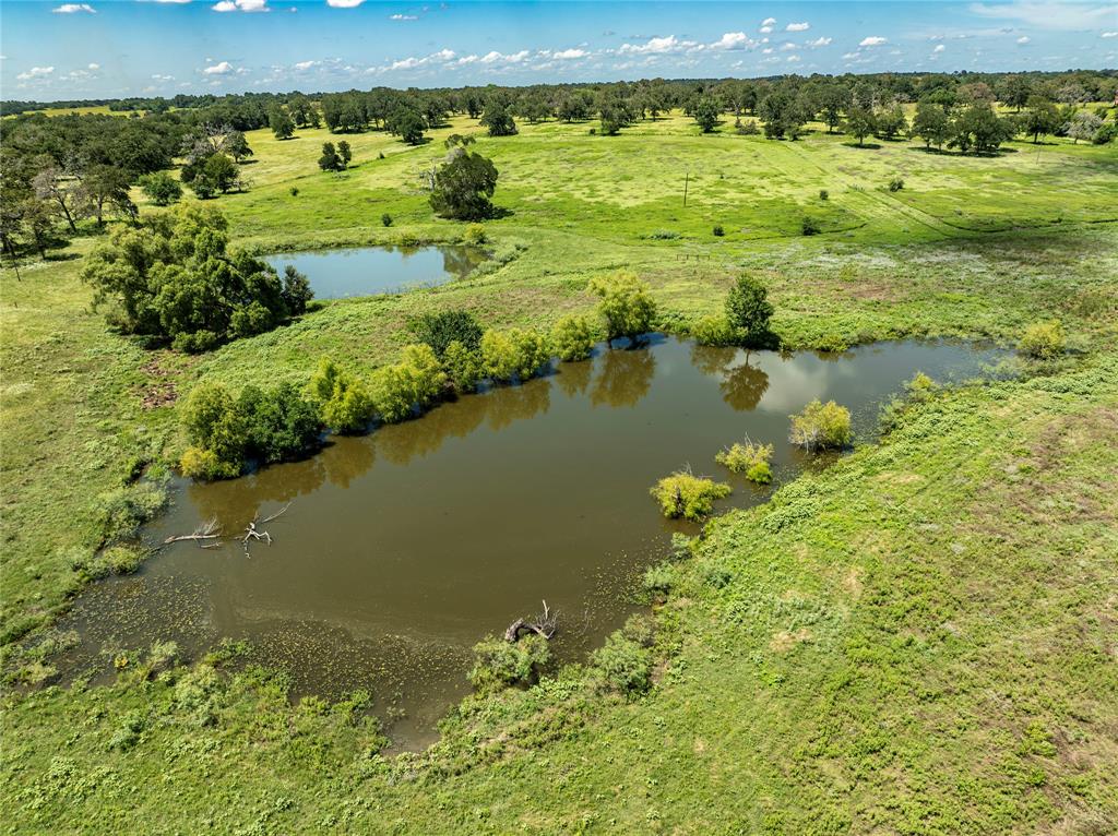 LOT 8 Mill Creek Ranch Road, New Ulm, Texas image 18