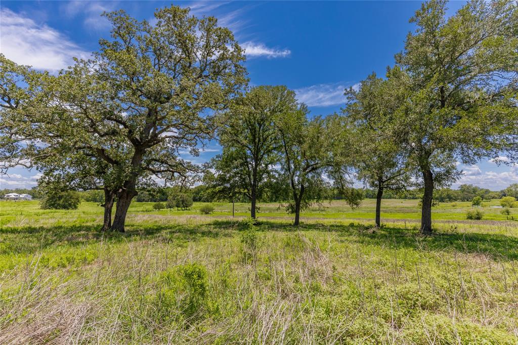 LOT 8 Mill Creek Ranch Road, New Ulm, Texas image 2