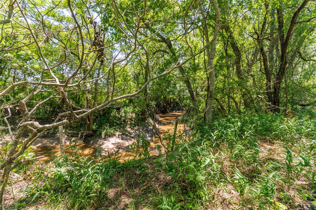 LOT 8 Mill Creek Ranch Road, New Ulm, Texas image 10