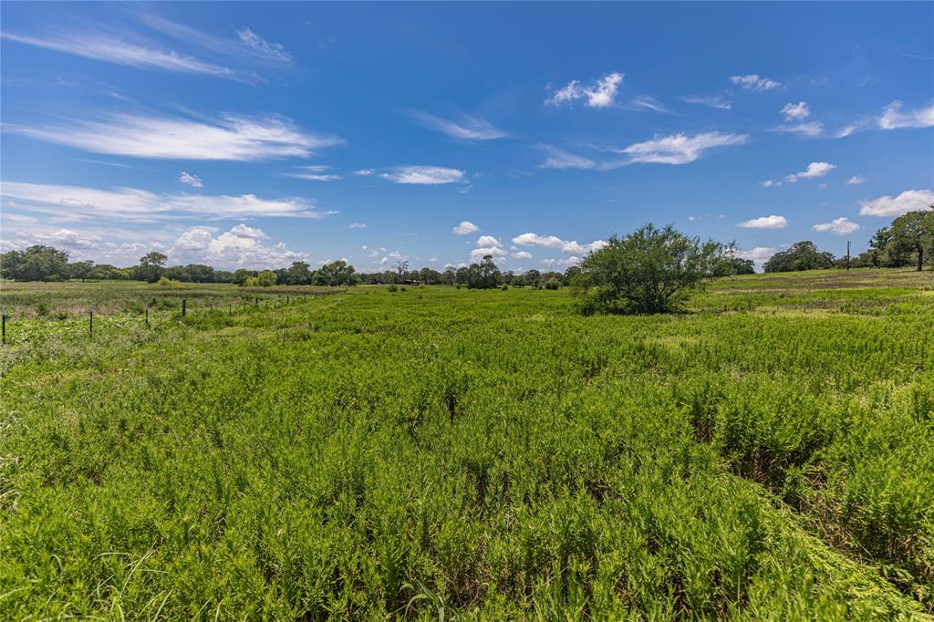 LOT 8 Mill Creek Ranch Road, New Ulm, Texas image 3