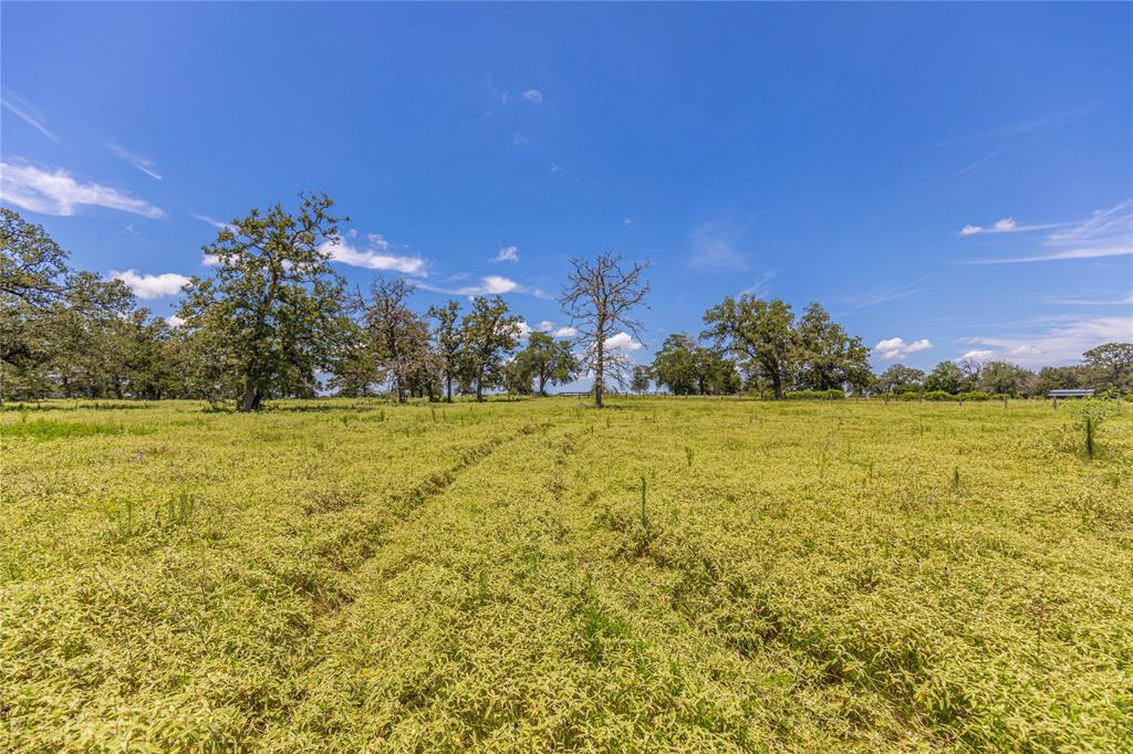 LOT 8 Mill Creek Ranch Road, New Ulm, Texas image 4