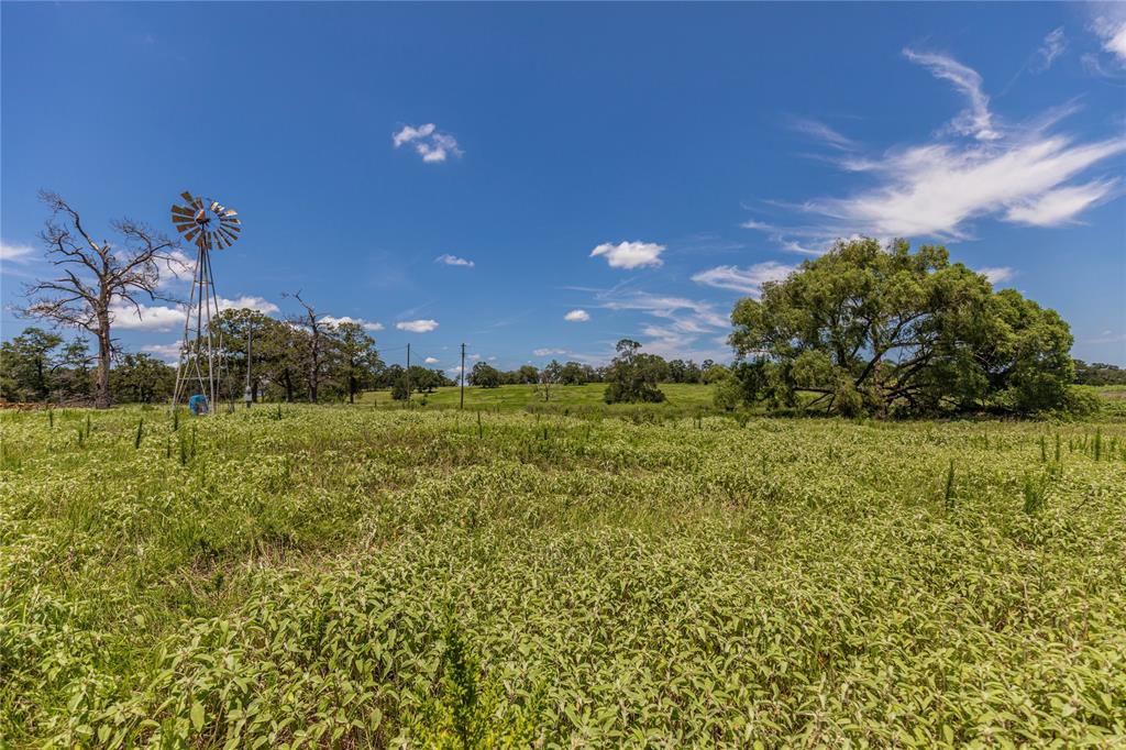 LOT 8 Mill Creek Ranch Road, New Ulm, Texas image 7