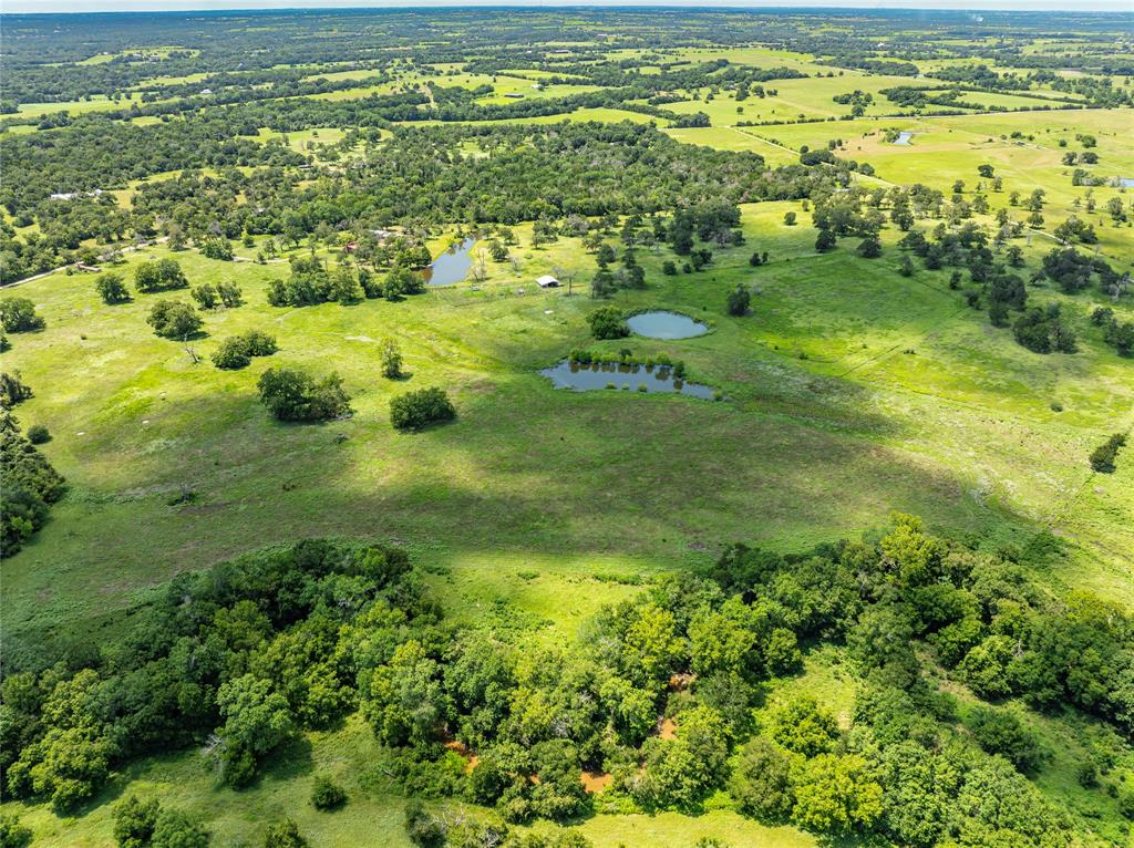 LOT 8 Mill Creek Ranch Road, New Ulm, Texas image 17