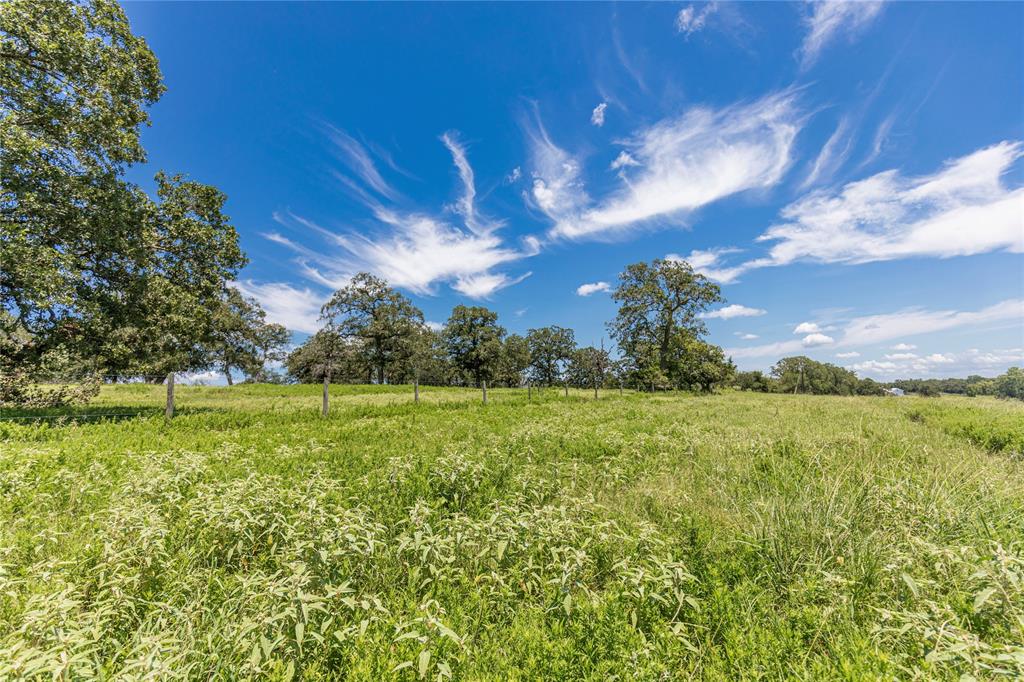 LOT 8 Mill Creek Ranch Road, New Ulm, Texas image 6