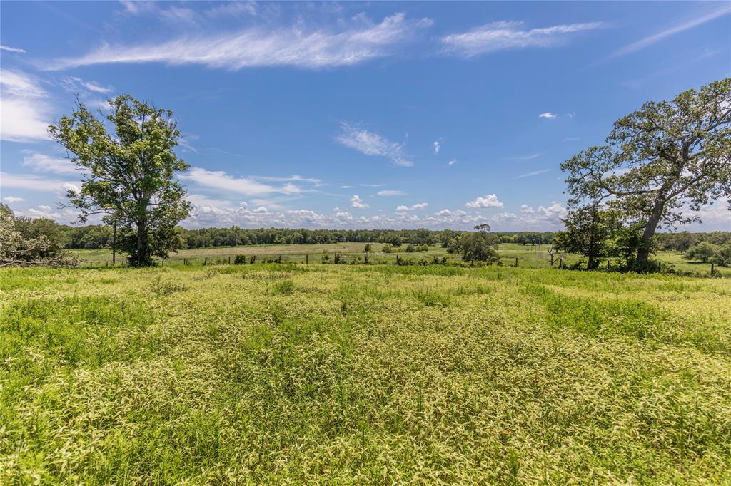 LOT 8 Mill Creek Ranch Road, New Ulm, Texas image 5