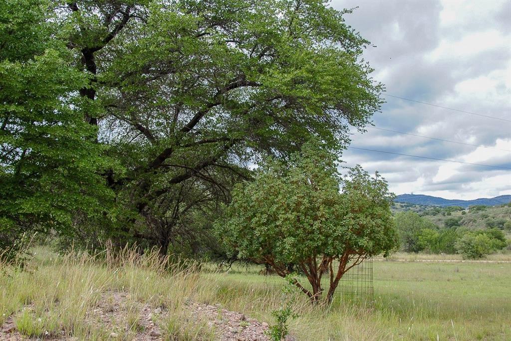 102 Limpia Creek Drive Dr, Fort Davis, Texas image 18