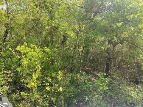 Photo of 0 Hollybrook Drive, Plantersville, TX 77363 (MLS # 27785278)