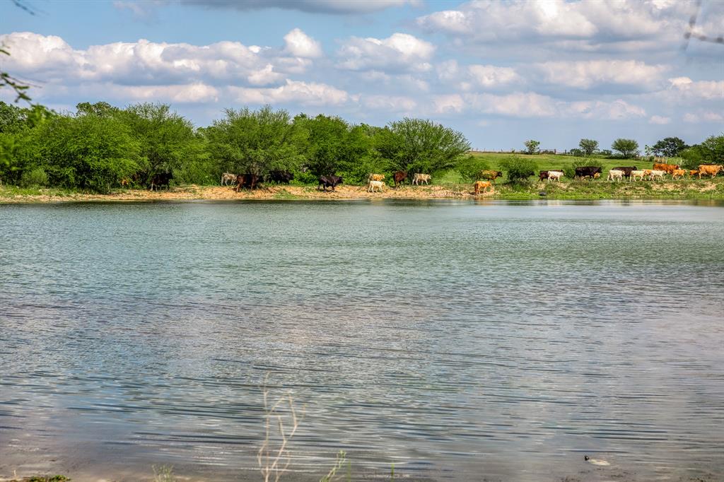 3109 Highway 105, Brenham, Texas image 6