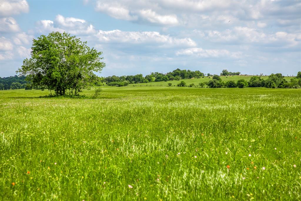3109 Highway 105, Brenham, Texas image 9